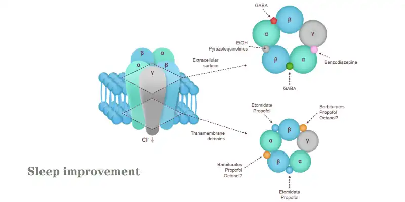 Valerian Root Extract  powder.jpg